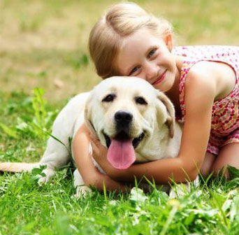 Calidad y <b>confianza</b>